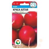 Редис Краса Алтая  2гр СС