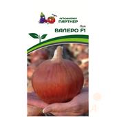Лук репчатый Валеро Партнер