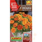 Бархатцы У окошка смесь сортов  10шт Аэлита