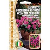 Катарантус Ocean Deep Orhid Blue розовидный 5шт ЧК