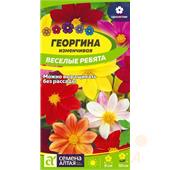 Георгина Веселые ребята  0,2гр Сац