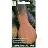 Тыква Арабатская мускатная  10шт Поиск