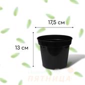 Горшок для рассады, 2 л, d = 17,5 см, h = 13 см, чёрный, Greengo