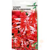 Сальвия Виста лососевая 10шт ССов