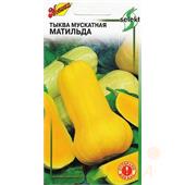 Тыква мускатная "Матильда" select,  10 шт