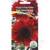 Подсолнечник Малиновая королева, 10 шт