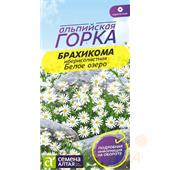 Брахикома Белое озеро 0,05 гр СА