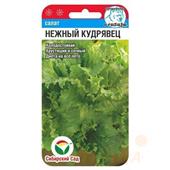 Салат Нежный кудрявец 0,5гр СС