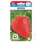 Земляника Женева  10шт СС