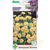 Пиретрум Сантана девичий 10шт ЕвроСемена