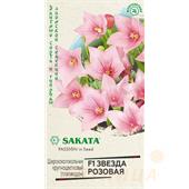 Платикодон (ширококолокольчик) Звезда розовая F1 крупноцветковый 4шт Гавриш
