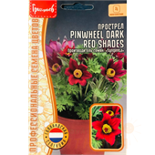 Прострел Pinwheel Dark Red Shades 3шт ЧК
