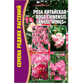 Роза Angel Wings китайская  7-10шт ЧК