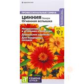 Цинния Захара Огненная вспышка СемАлт