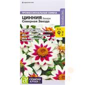 Цинния Захара Северная звезда СемАлт