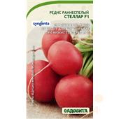 Редис Стеллар F1 60шт Syngenta/Садовита