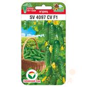 Огурец SV4097CV СибСад