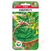 Огурец Кибрия СибСад 