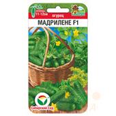 Огурец Мадрилене СибСад