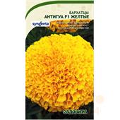 Бархатцы Антигуа F1 Желтые 5шт Syngenta/Садовита