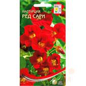 Настурция Ред Сари  9шт ССов