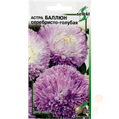 Астра Баллюн серебристо-голубая  30шт ССов