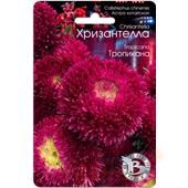 Астра Хризантелла Тропикана  30шт Б/техника