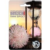 Астра Хамелеон Пинк Фрост китайская  30шт Б/техника