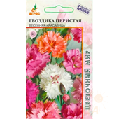 Гвоздика Перистая Весенняя красавица  0,1гр Агрос