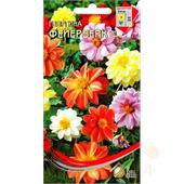 Георгина Фейерверк  12шт ССов