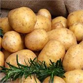 Картофель семенной Реал