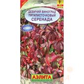 Виноград Девичий Серенада  10шт Аэлита