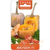 Тыква Жюльен F1 5шт  Б/техн