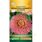 Астра Хризантелла Фламинго на закате  5шт ЕвроСемена