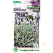 Лаванда многолистная Мятный лед 7шт ЕвроСемена