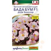 Бегония Бада бум F1 роза биколор 5шт Аэлита