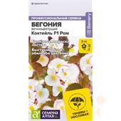 Бегония Коктейль F1 Ром вечноцветущая 5 шт САц