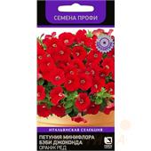 Петуния Бэби Джоконда Оранж ред минифлора  10шт Поиск