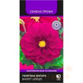 Георгина Фигаро Виолет Шейдес  10шт Поиск