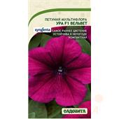 Петуния Ура F1 Вельвет мультифлора 7др Syngenta/Садовита