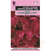 Колеус Визард Вельвет ред* 4 шт. Элитная клумба (Гавриш)