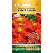 Бархатцы отклоненные Жаркое Сафари, 10 шт (ЕС)