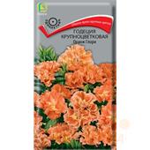 Годеция Оранж Глори (Поиск)