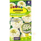 Цинния лилипут Белая Шапочка 0,2/0,3 гр. (Семена Алтая)