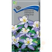 Аквилегия Голубая звезда (Поиск)