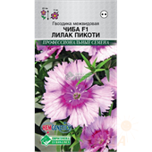 Гвоздика межвидовая Чиба Лилак Пикоти, 5 шт (ЕС)