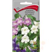 Азарина лазающая Смесь 10шт Поиск