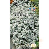 Алиссум морской Снежный ковер 0,2гр Седек