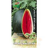 Арбуз Сибирские огни 15шт/Сибирская серия/Поиск
