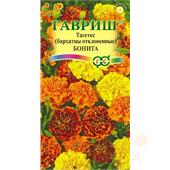 Бархатцы Бонита Гавриш